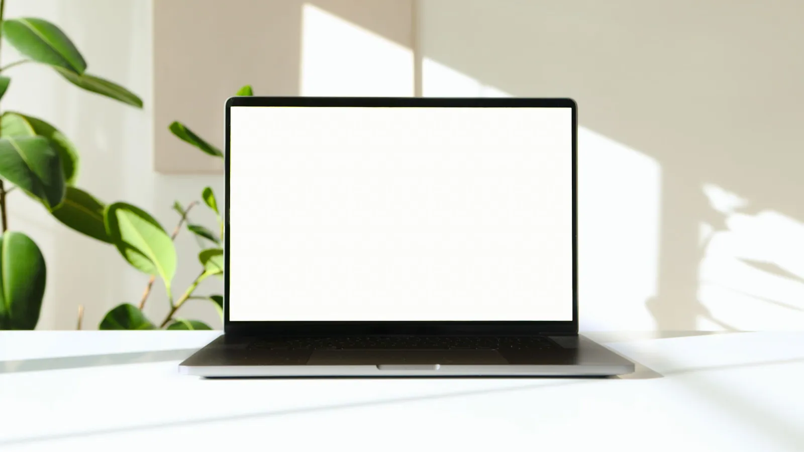Laptop on a desk in a bright office